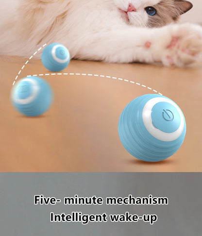 Cat Interactive Smart Toy